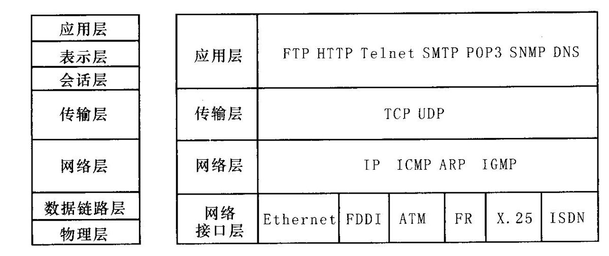 TCP/ IP的网 络体 系结 构