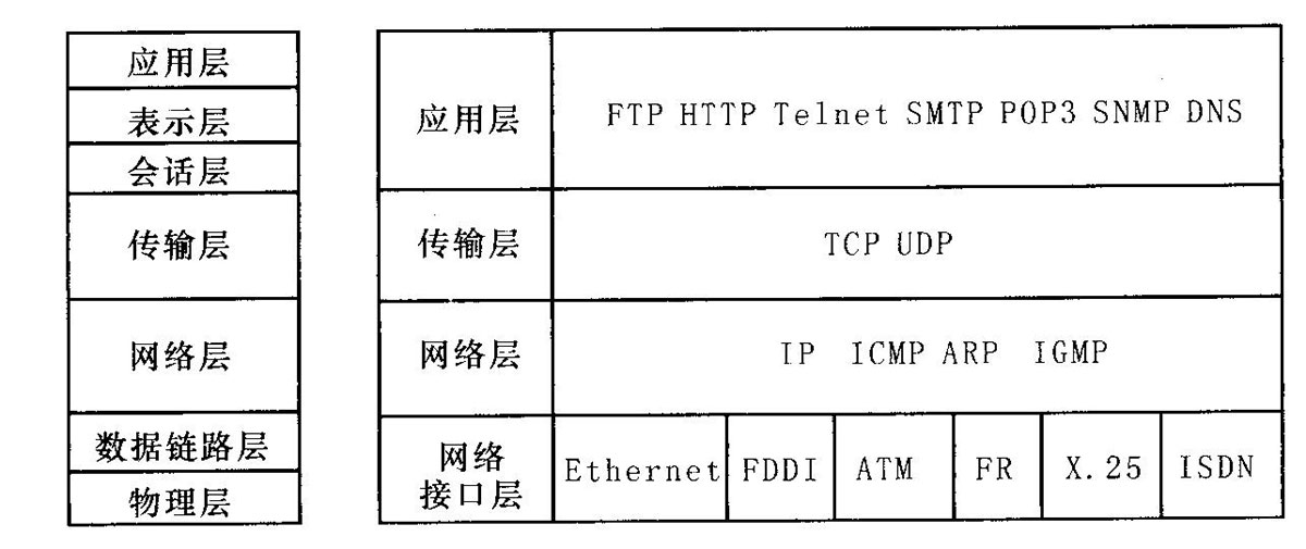 TCP/ IP的网 络体 系结 构