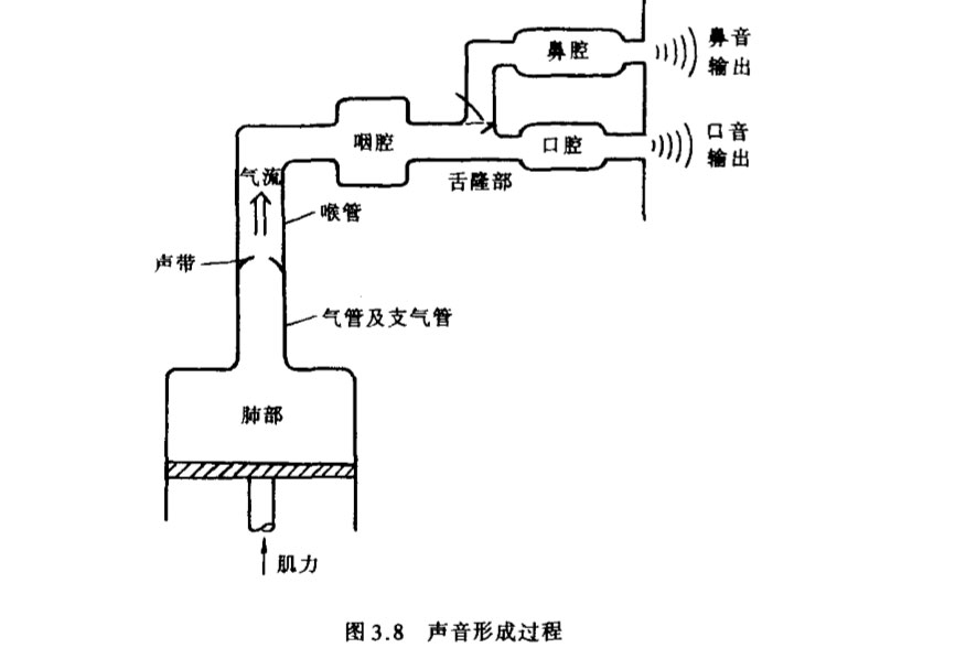 声音形成过程
