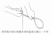 牵引单条的线缆 牵引单条的线缆