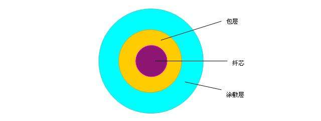 光纤横截面结构图