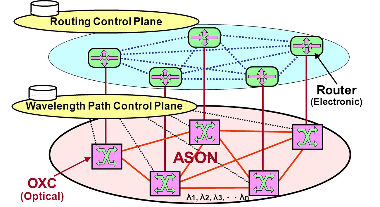 ASON传送网元