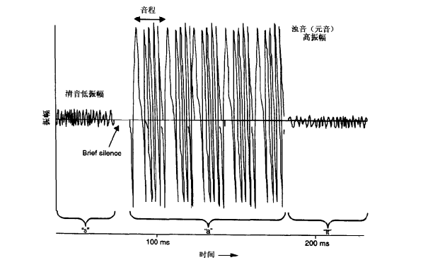 SALT的发音波形
