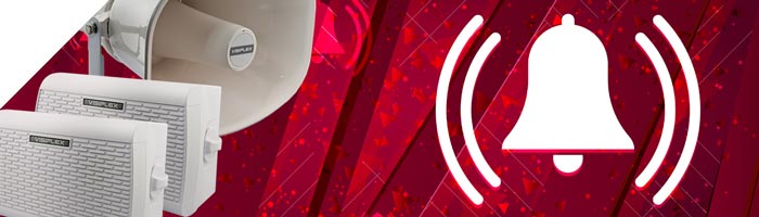 贝尔系统的解体