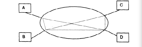 使用永久虚电路的分组网络