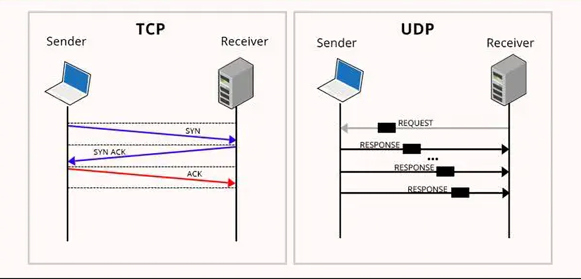 传输协议和数据协议