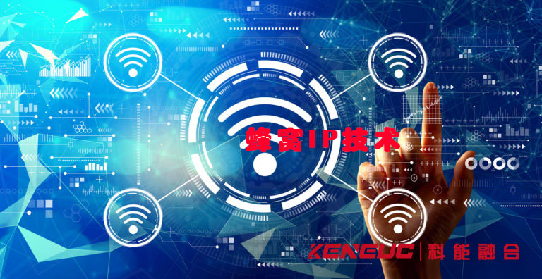 蜂窝IP技术论文