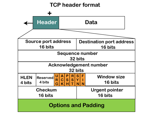 技术合作计划（TCP