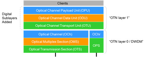 OTN 信息结构