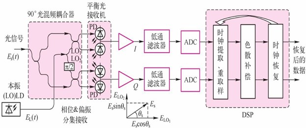 DQPSK调制相干检测平衡光接收机用DSP完成时钟恢复和色散补偿