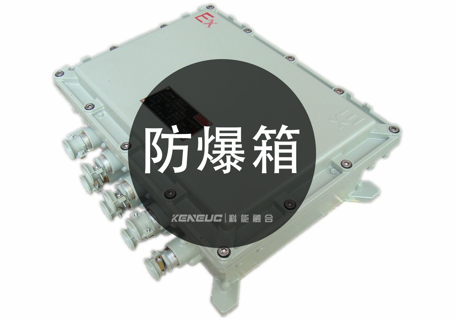 防爆箱(选择指南+使用技巧+价格推荐)