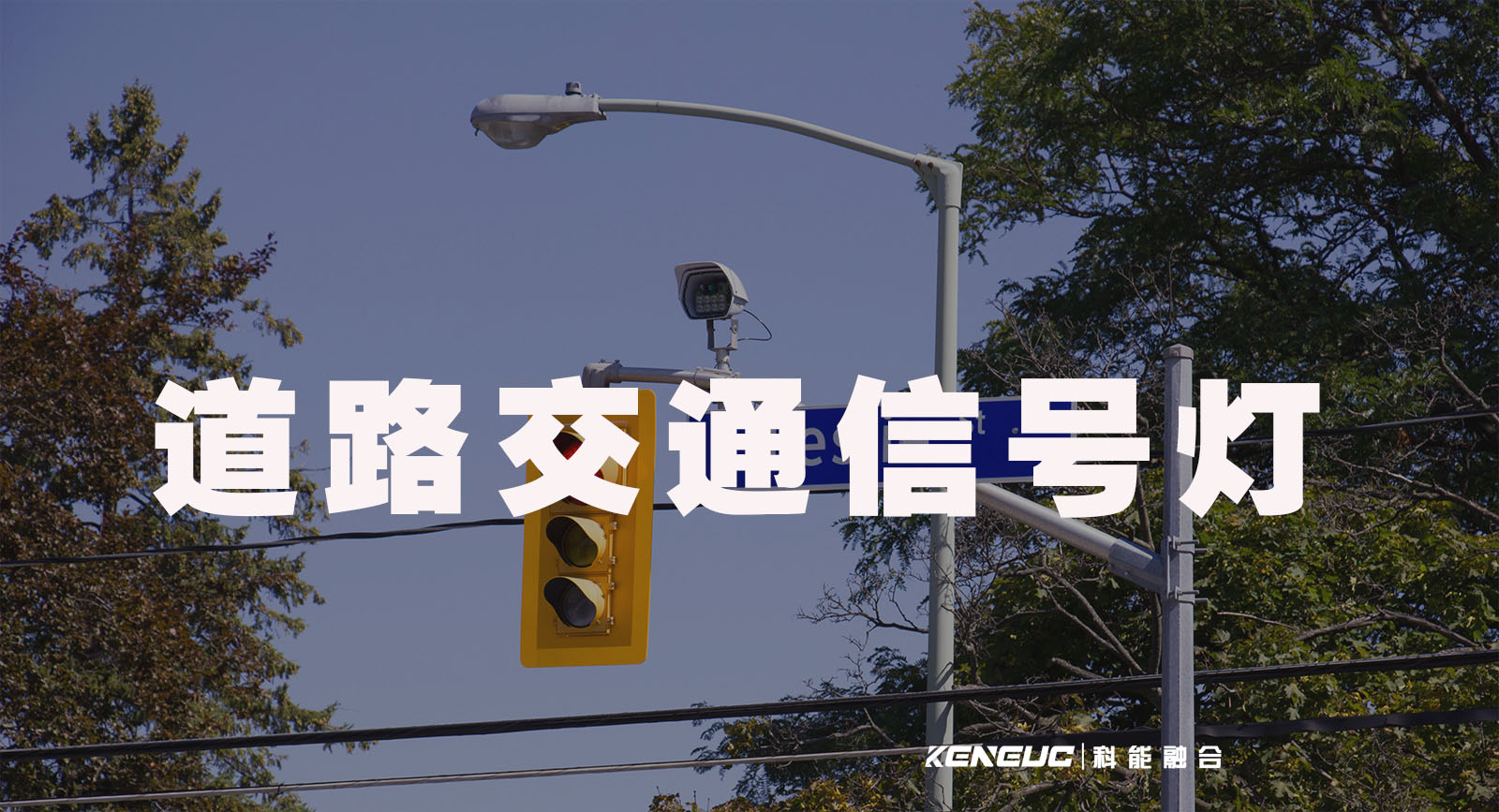 道路交通信号灯(提高交通效率的必备装备)