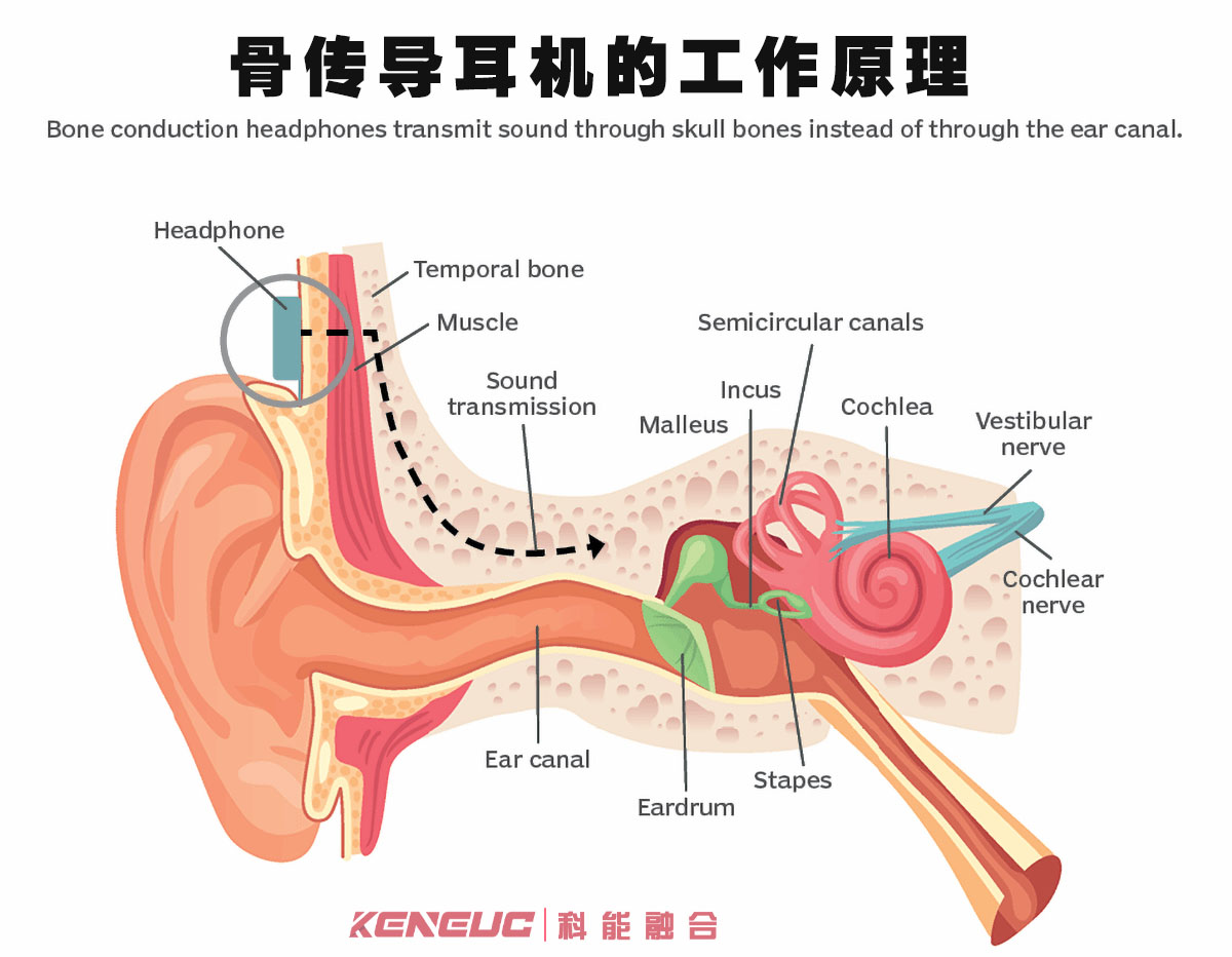 骨传导耳机的工作原理