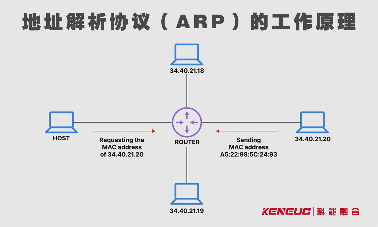 ARP的工作原理