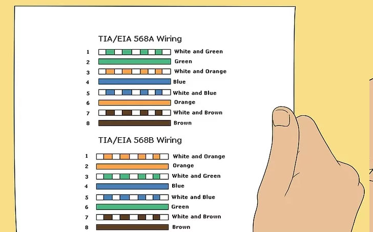 按照您需要的顺序对齐未绞合的电线。