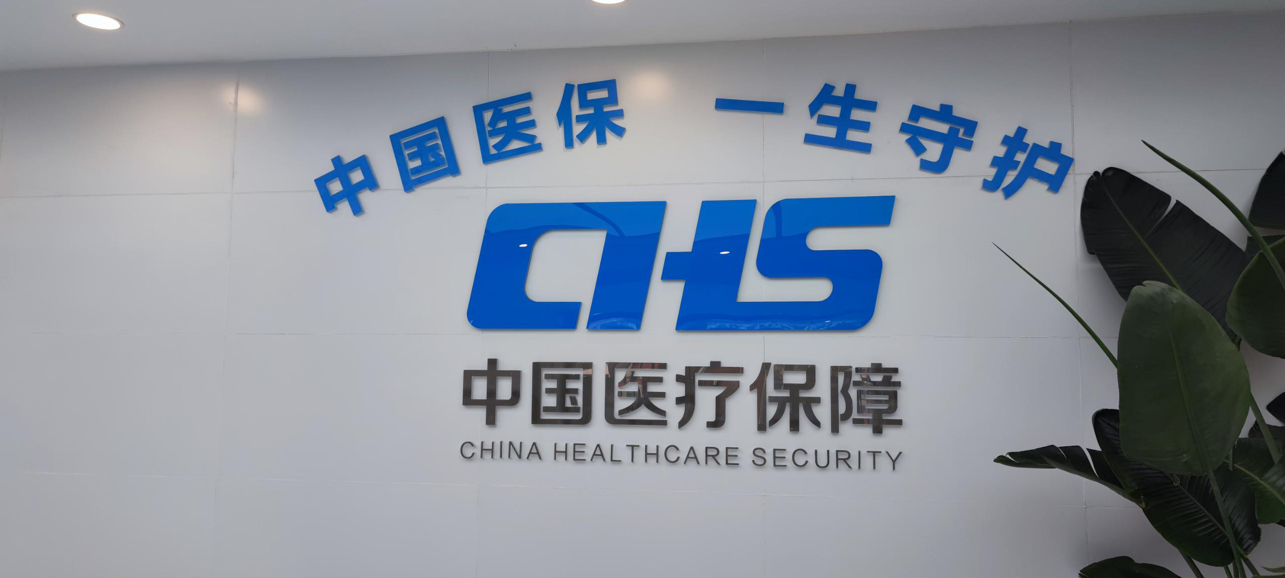 绵阳某医疗保障局呼叫中心方案
