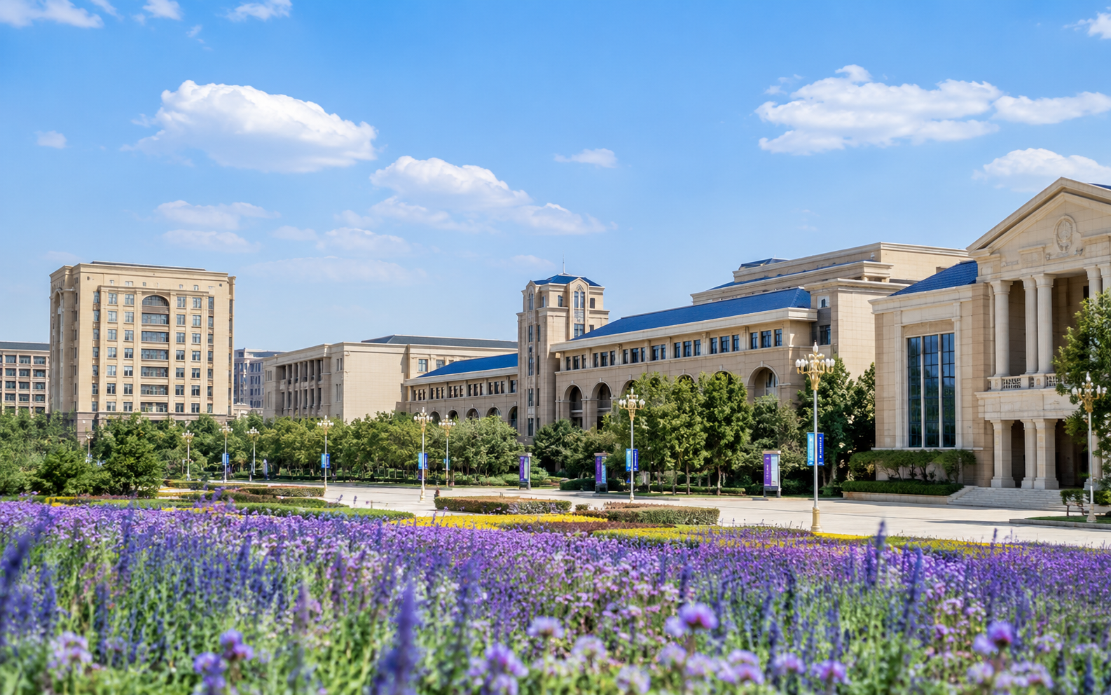 新疆某师范大学安防对讲通信解决方案